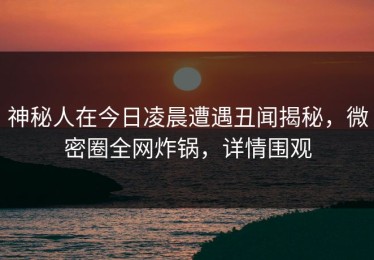神秘人在今日凌晨遭遇丑闻揭秘，微密圈全网炸锅，详情围观
