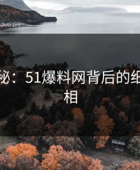 深入探秘：51爆料网背后的细节与真相