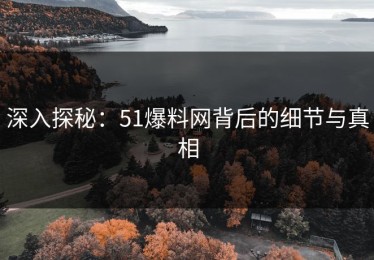 深入探秘：51爆料网背后的细节与真相
